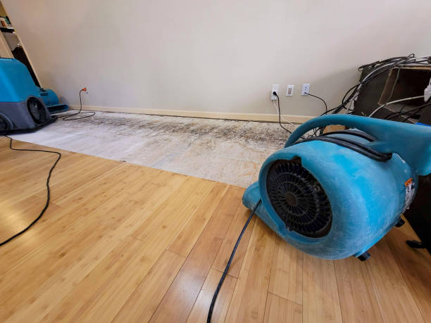 Professional Structural Drying technician working in Hamel, MN